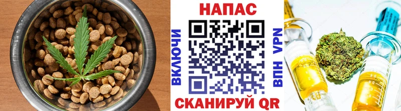 Cannafood конопля  где можно купить   Саранск 