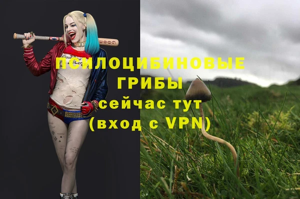 синтетический гашиш Абдулино